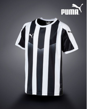 PUMA Liga Striped ﻿Jersey